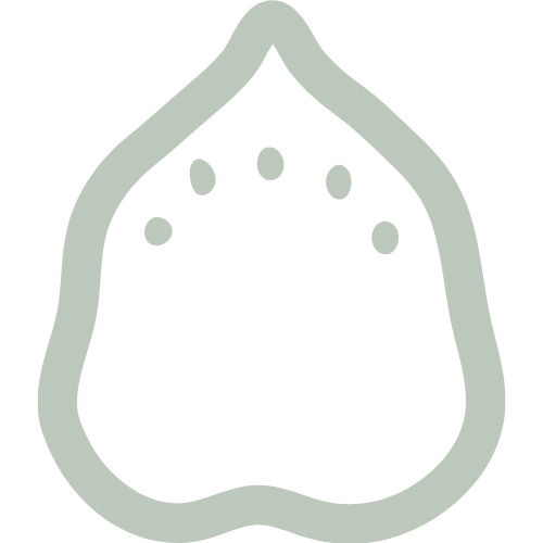 Physalide - Coaching de santé Physalide - Coaching de santé