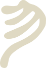 Physalide coaching - Développement Développement